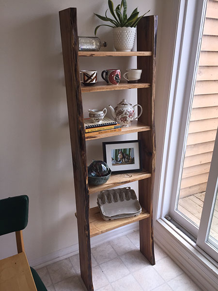 Ladder Shelf (2015)